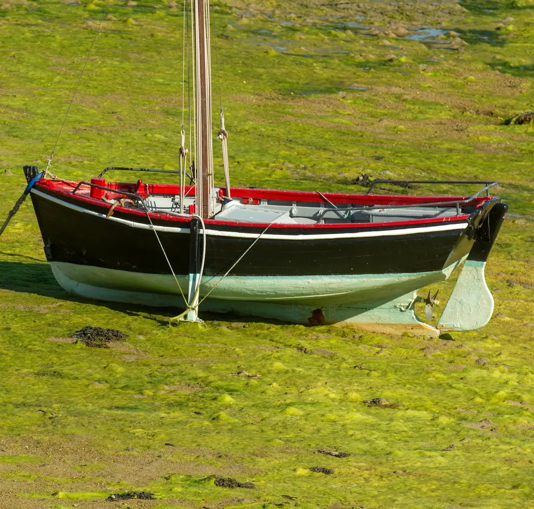 Canot à voile à coque noire posé sur l'estran vert