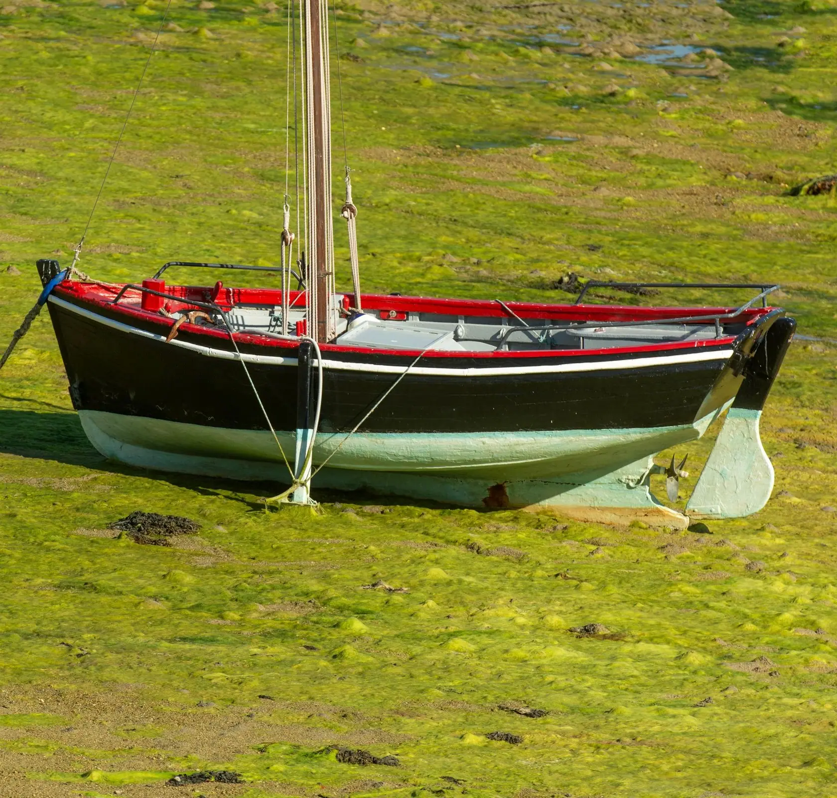Canot à voile à coque noire et liston rouge, posé sur l'estran vert à marée basse