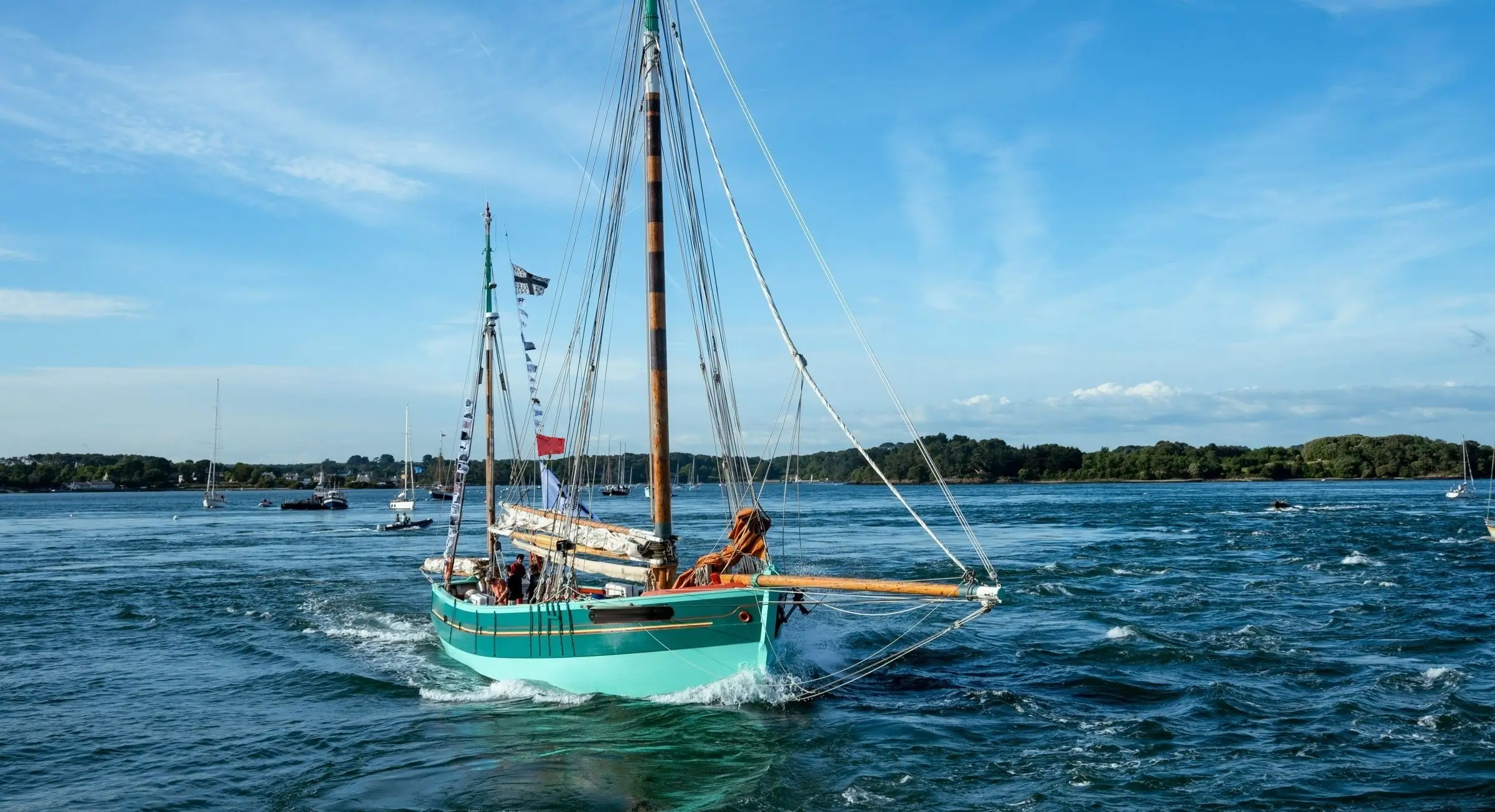 Vieux gréement à coque vert d'eau sous voiles serrées, rives boisées du golfe en fond