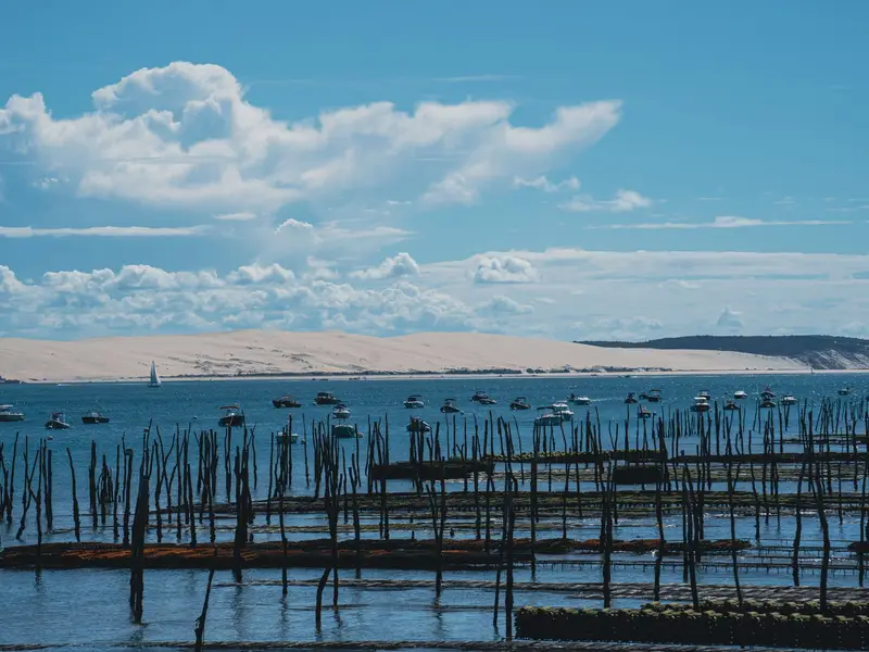 Parcs à huîtres dans l'eau, la dune du Pilat à l'horizon