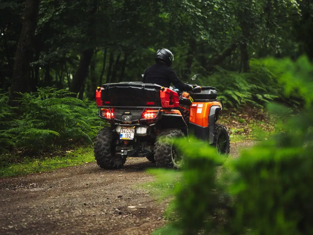 Quad orange monoplace vu de trois quarts arrière sur un chemin bordé de fougères
