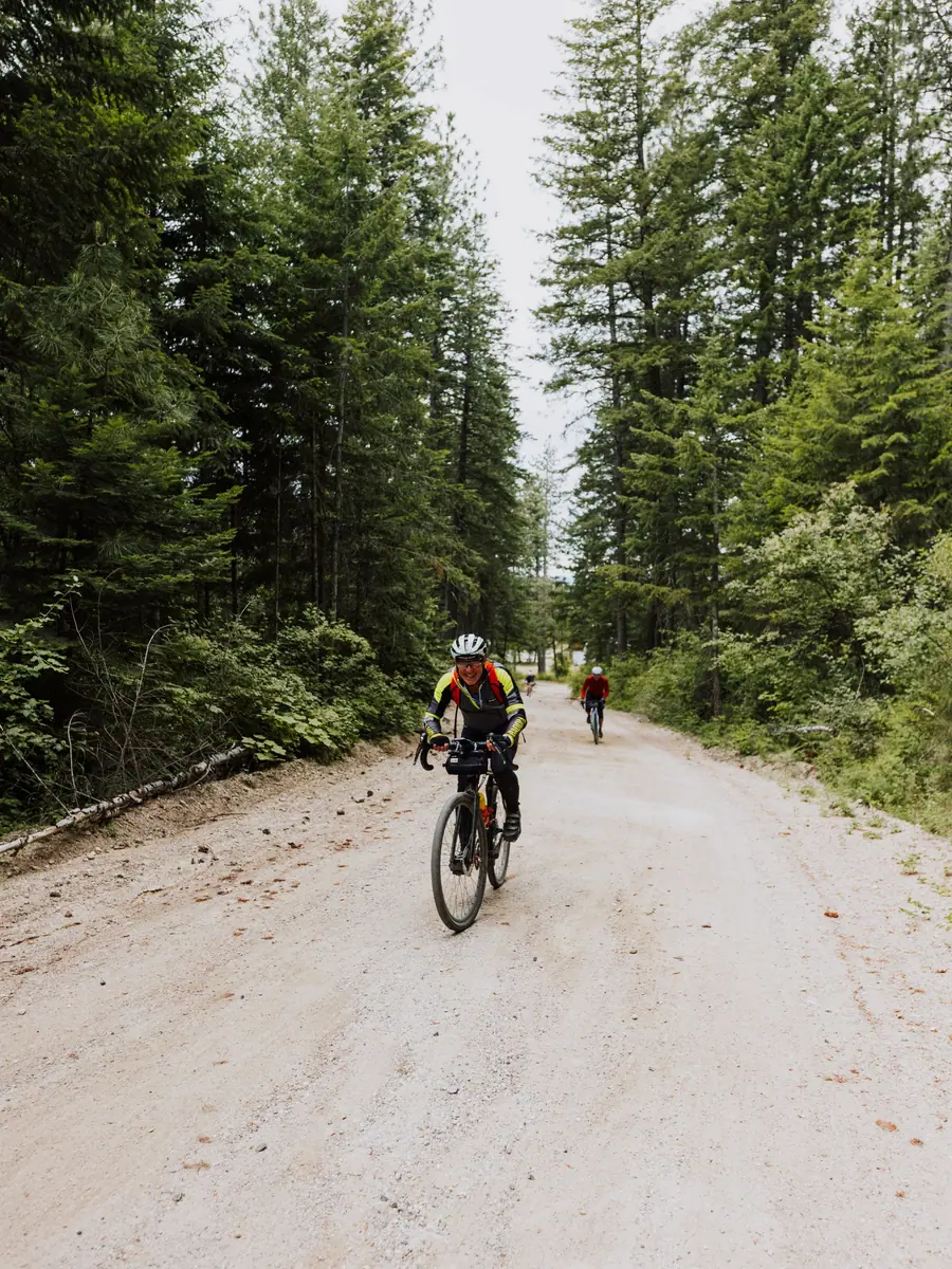 Cycliste en gravel sur une large piste blanche entre les sapins